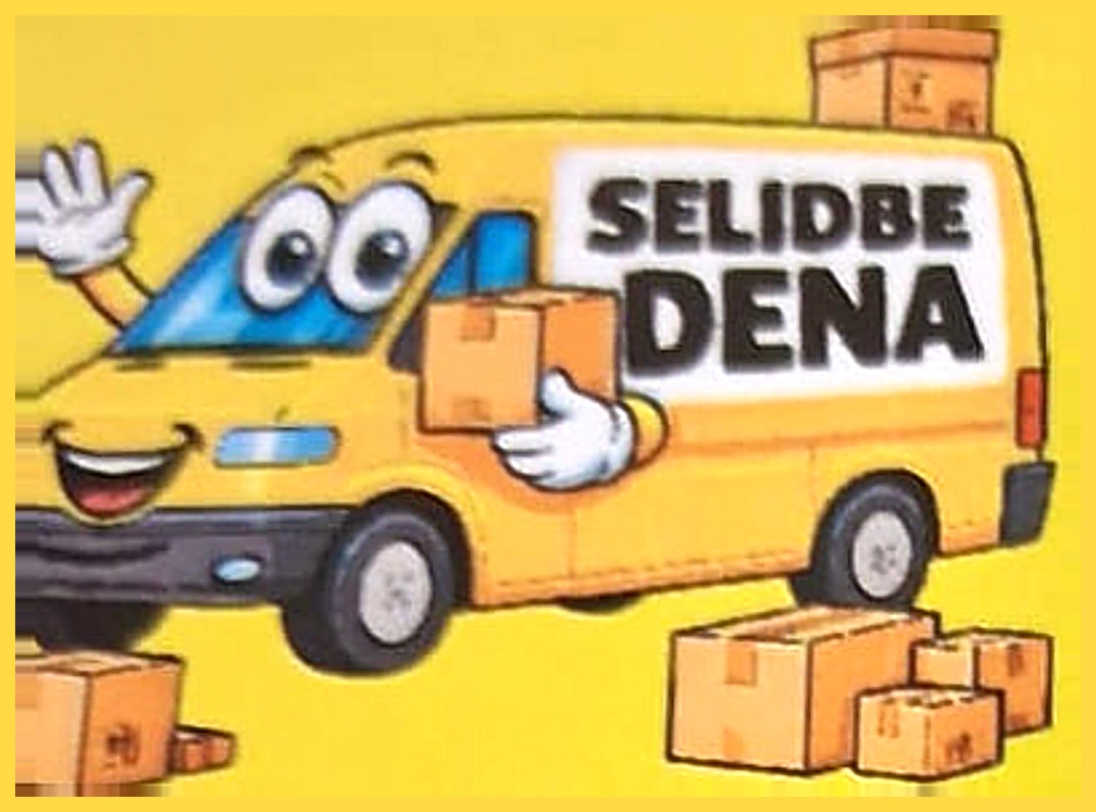 Selidbe Dena kombi s kutijama