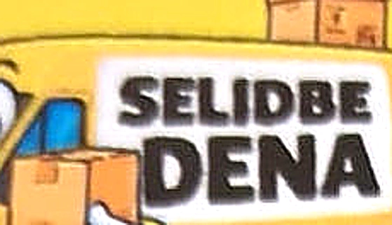 Selidbe Split Dena logo